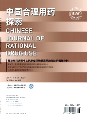 中国合理用药探索杂志
